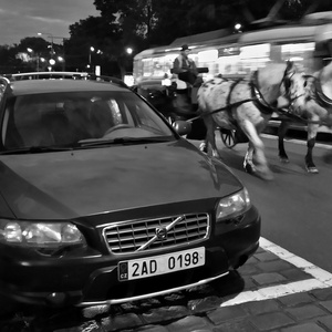 Petr Marek - galerie